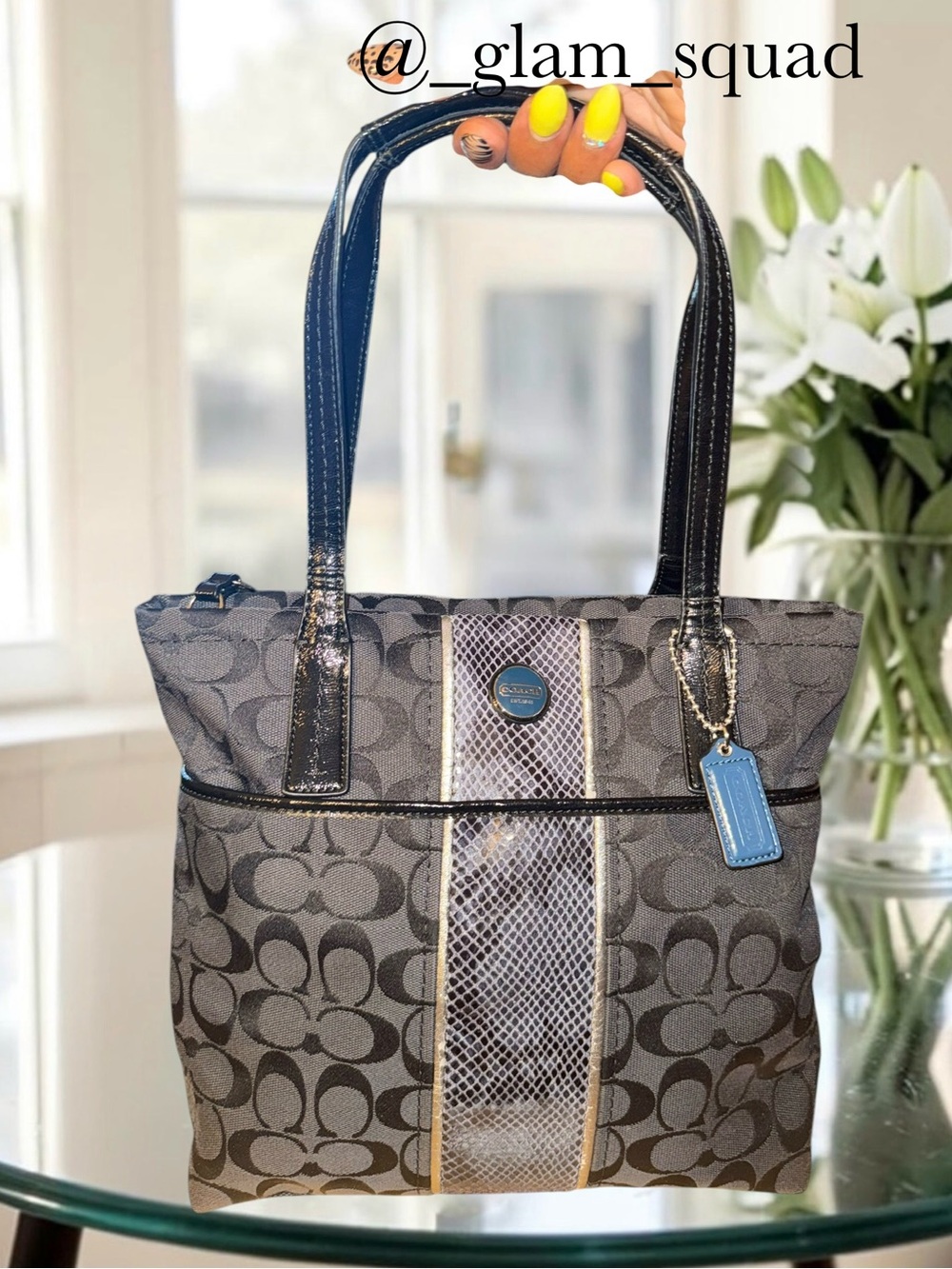 Coach Signature Stripe Python Tote Bag Black Grey F25706